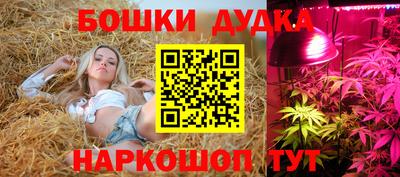 дмт Заволжье